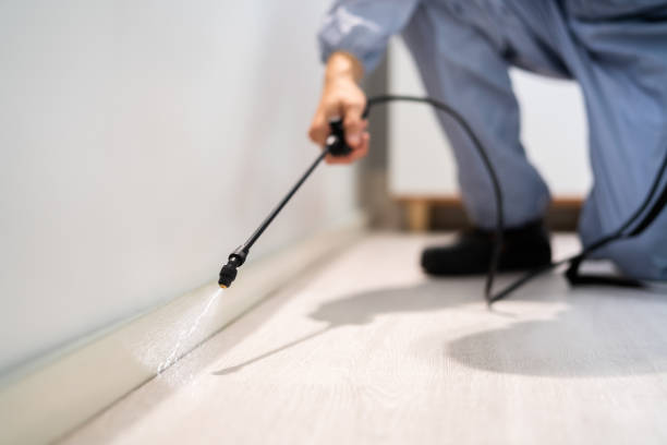 Licensed Wasp Control service in Frazeysburg, OH - Nex Pest Control