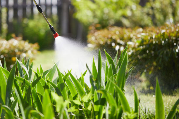24/7 Emergency Termite Control experts in Frazeysburg, OH