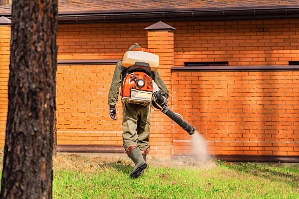 Trusted Termite Control service in Frazeysburg, OH - Nex Pest Control